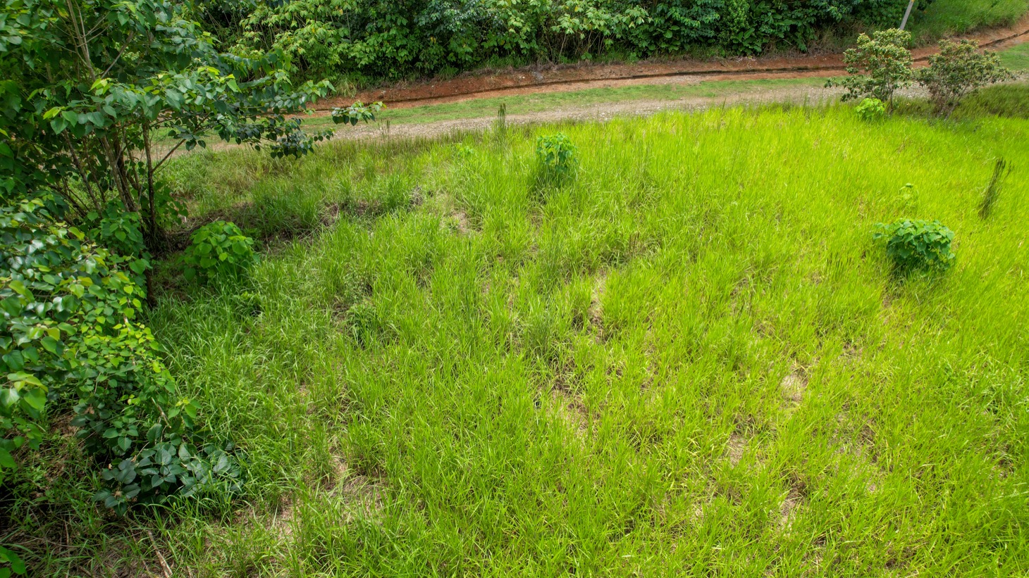 Prime Lot in Phase 11, Ojochal – Privacy, Views & Space to Create selected