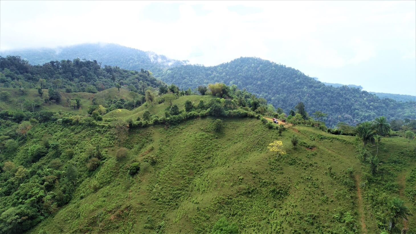 3 Spectacular Ocean View Farms in Uvita selected