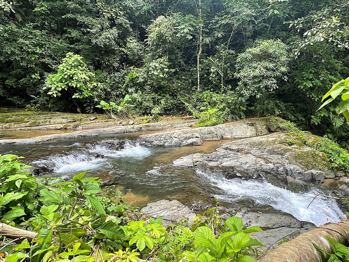 Rare 25+ Acre Opportunity in Uvita selected