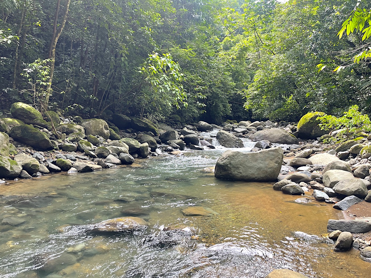 3.5 Acres with River Frontage in Tres Ríos selected