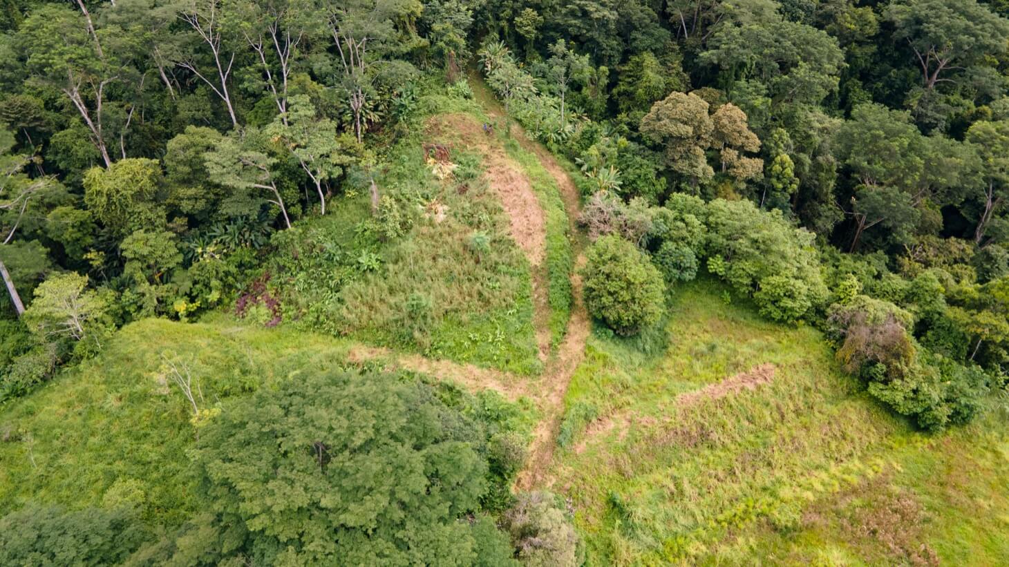 Iconic Ojochal Property For Sale with the BEST VIEWS and PRIVACY selected
