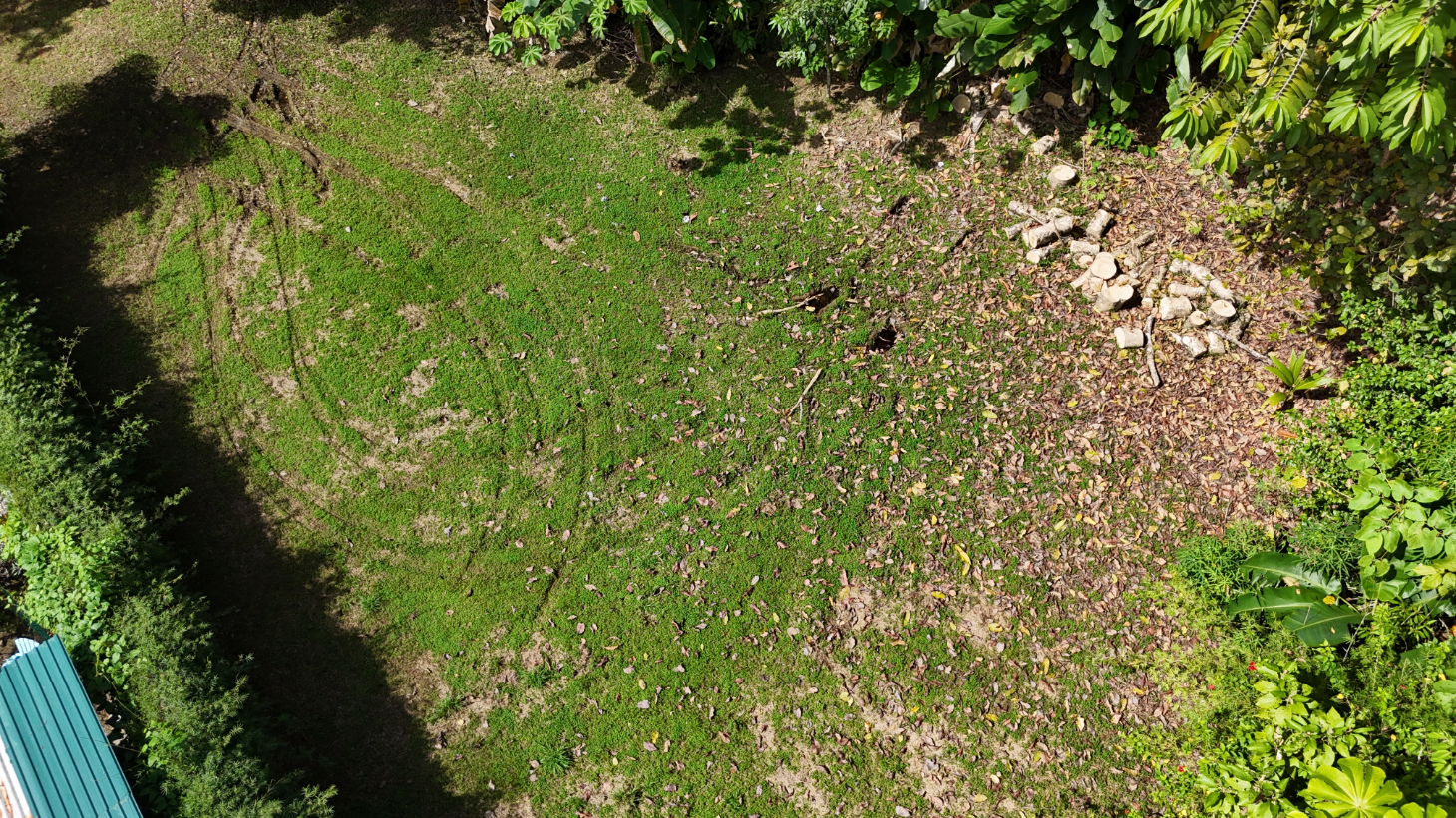 Build-Ready Ojochal Lot with Legal Water, Power & Private Setting selected