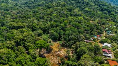 2.46 Acre Jungle Land for Sale in Ojochal with River Border image 5