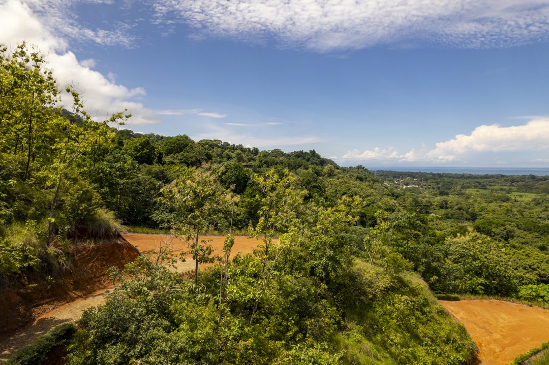 Tulpa Ridge – New Gated Ocean View Community in Matapalo selected