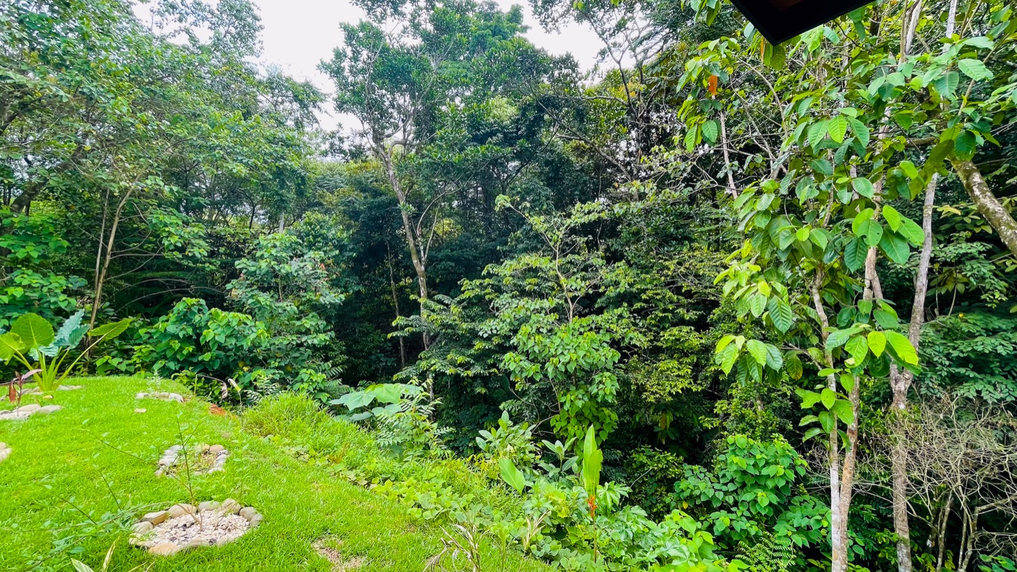Brand New 2 Bedroom Home on Acreage Backing onto Jungle and Creek selected
