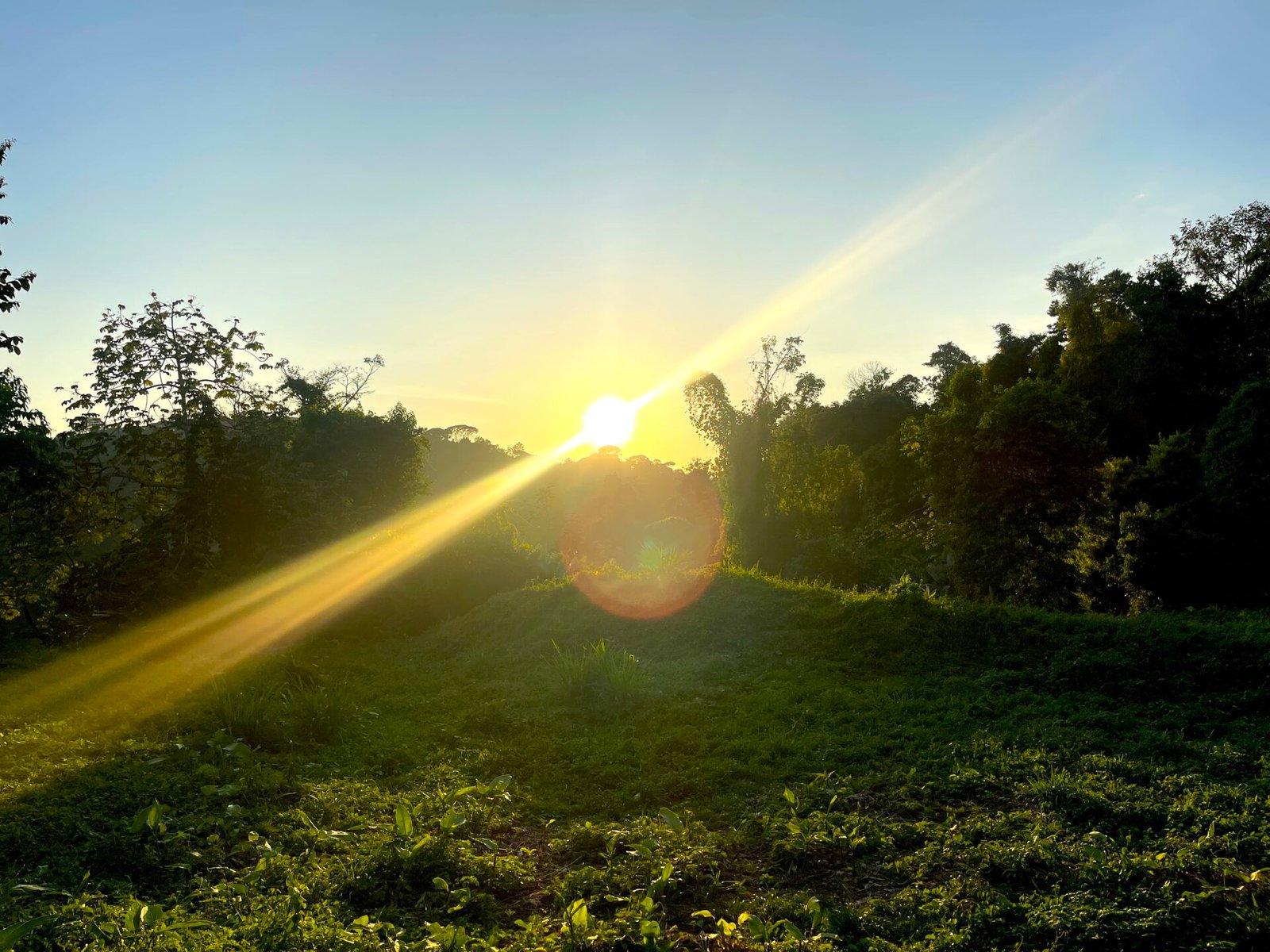 Ocean View Gem with Exceptional Usability near Dominical selected