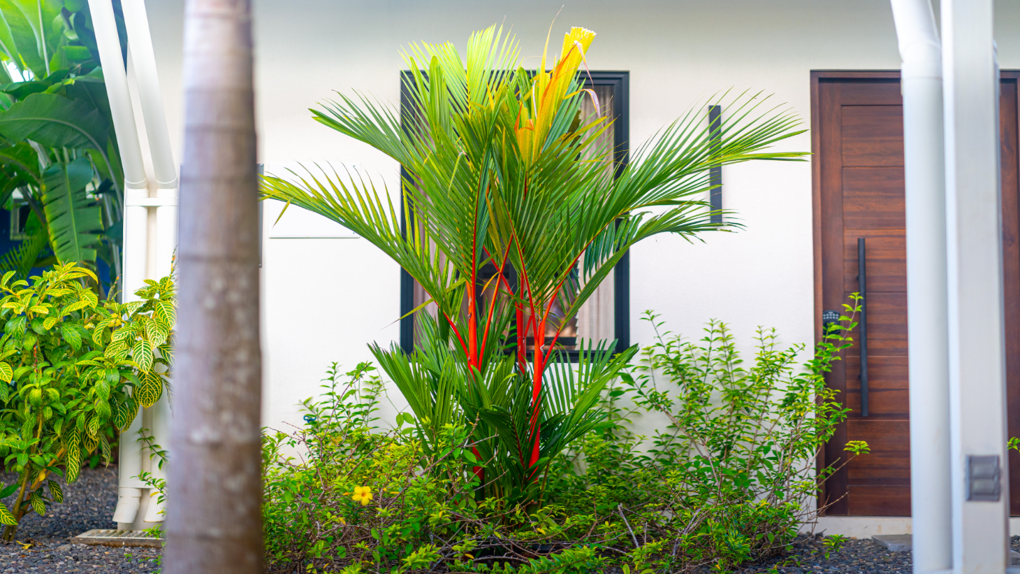 Income Ready Boutique Investment near Whale's Tail Beach selected