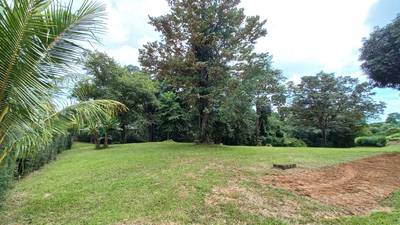 1.8 Acre All Usable Land with Pocket Ocean View Ripe for Development image 5