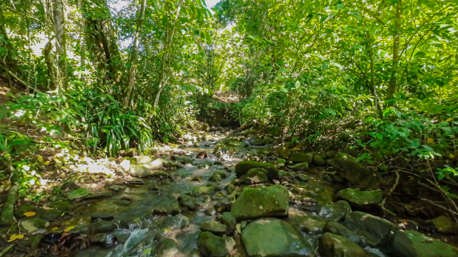 Development Parcel Central Uvita with River! selected