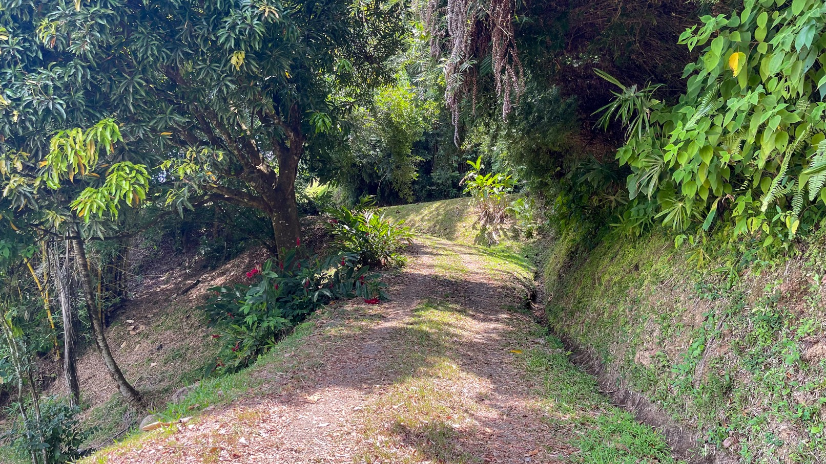 Ocean View Land for Sale in Uvita, Costa Rica | Whale Tail View | Private Gated Community | Ready to Build selected