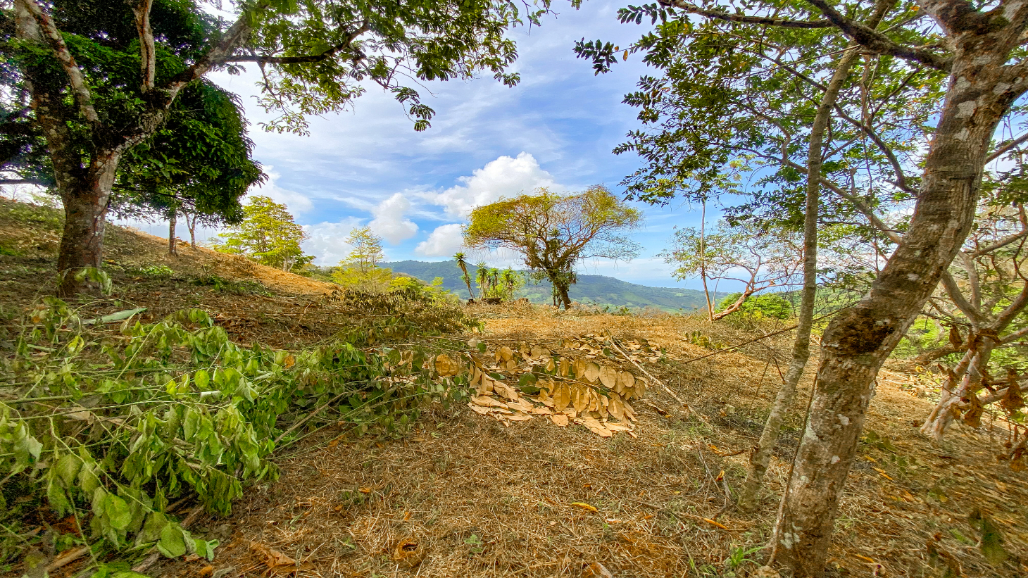 1.5 Acre Ocean & Mountain View Lot Near Uvita | Legal Water & Privacy selected