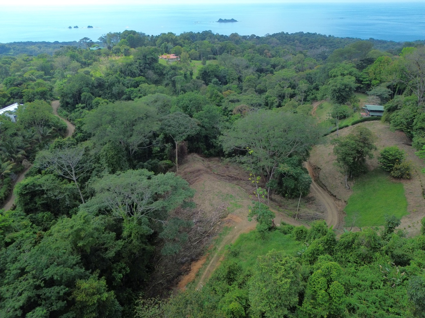 Private Jungle Sanctuary Land For Sale in Uvita, Costa Rica selected
