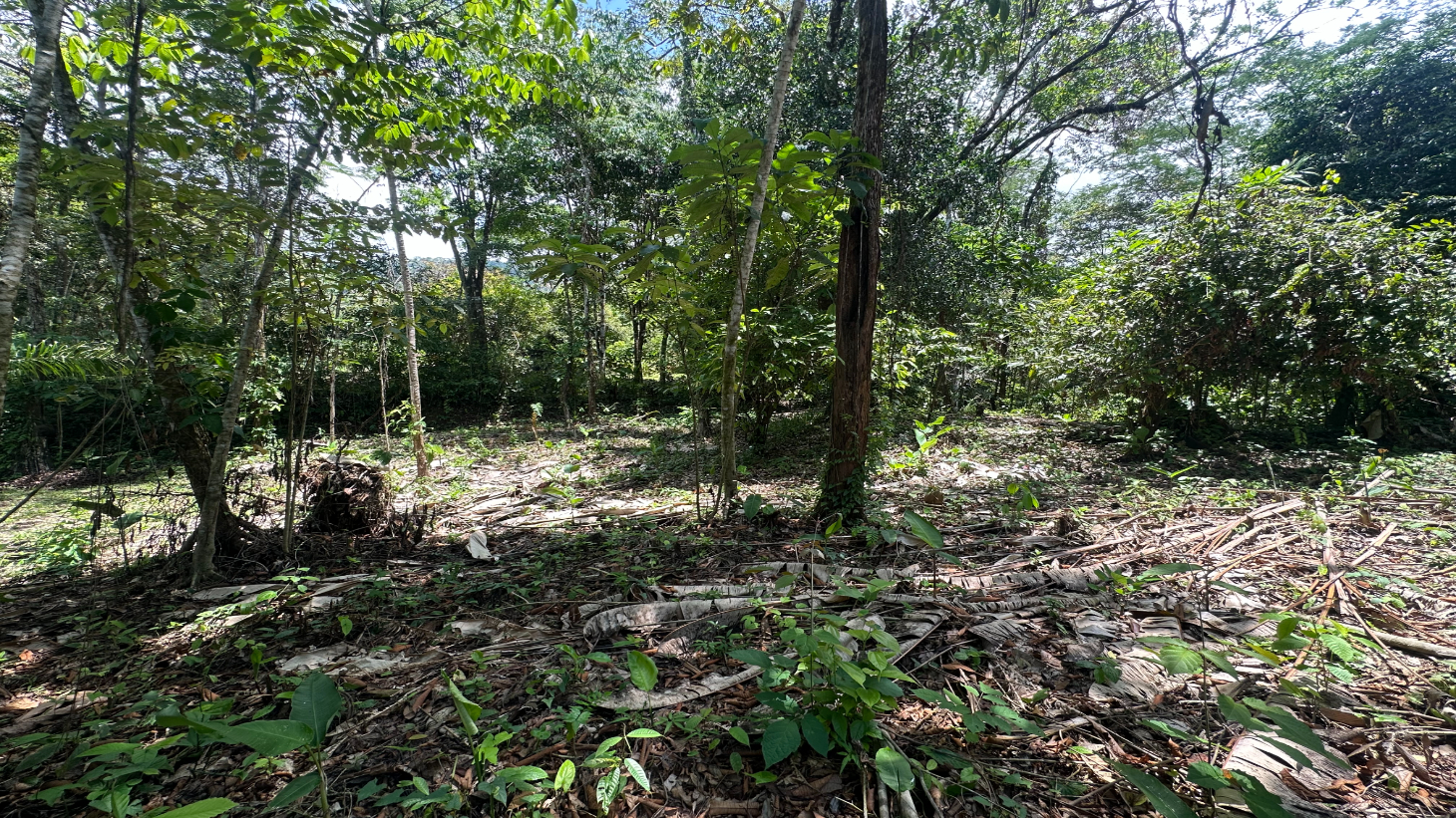 Ocean View Estate Lot with Private Waterfall – Uvita selected