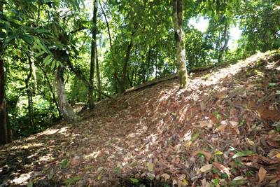 slide-3