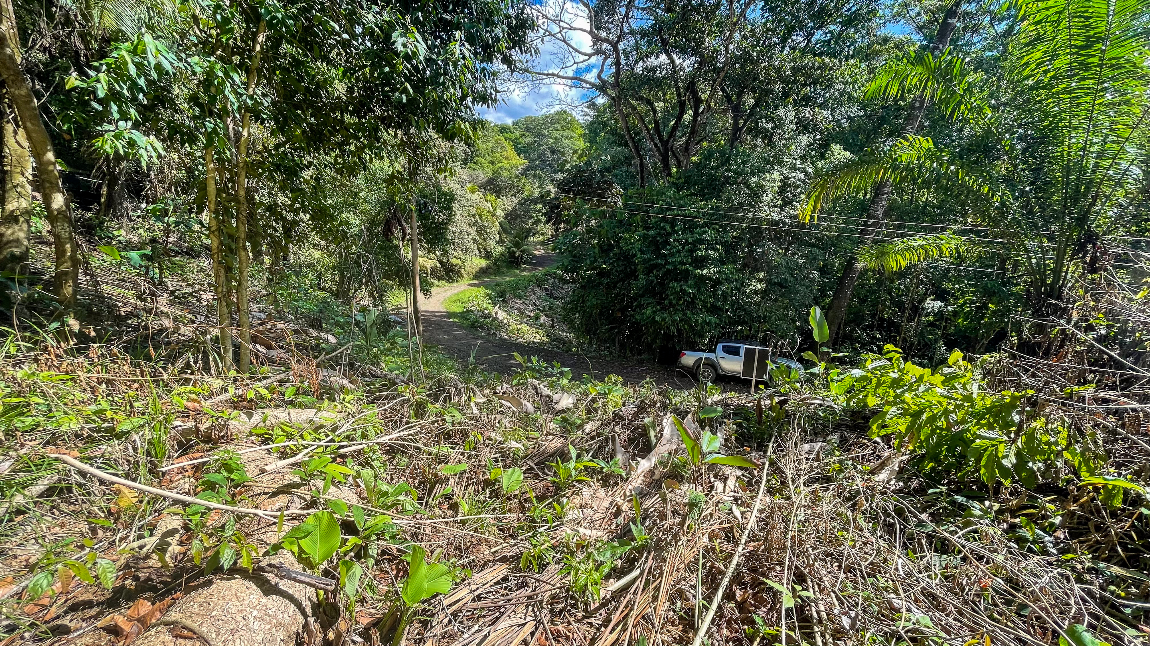 Tucked-Away Jungle Lot at the End of a Quiet Road — Ojochal, Costa Rica selected