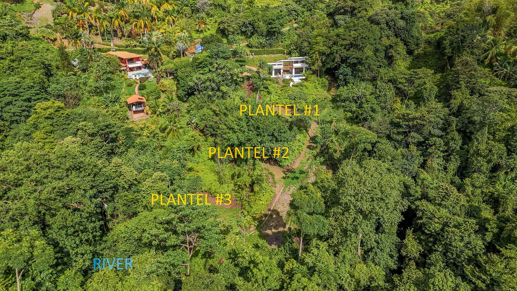 Ocean and Mountain View Retreat with Private River and Expansion Potential in Ojochal selected