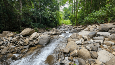 Riverfront Property for Sale in Ojochal, Costa Rica – Nearly 1 Hectare of Flat, Buildable Land image 1