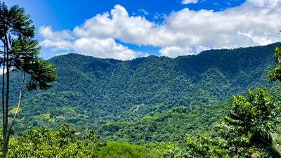 5.75 Acre Land for Sale in Ojochal | Ocean View Development Property image 5