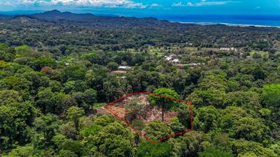 2.46 Acre Jungle Land for Sale in Ojochal with River Border image 3