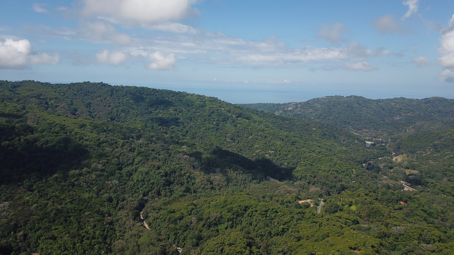 Build Ready Home Site with Easy Access in a Lush Rainforest Setting selected