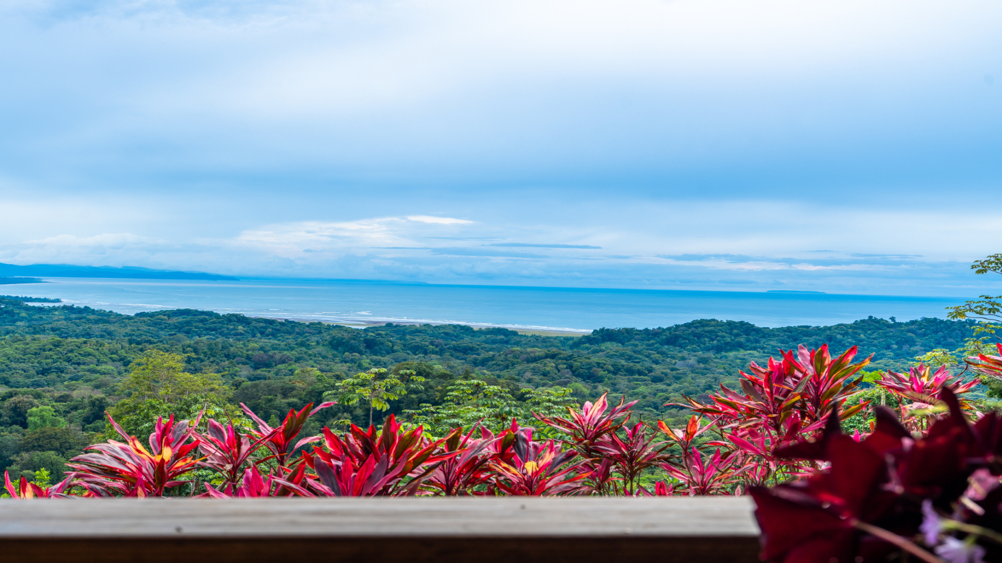 Luxury Ocean-View Estate with Infinity Pool, Main House & Guest House, Ojochal selected