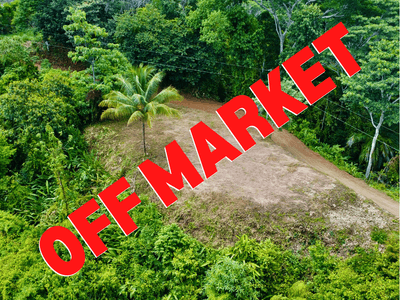 Ocean View Lot with Primary Forest, Creek, and Prime Accessibility in Hatillo image 1