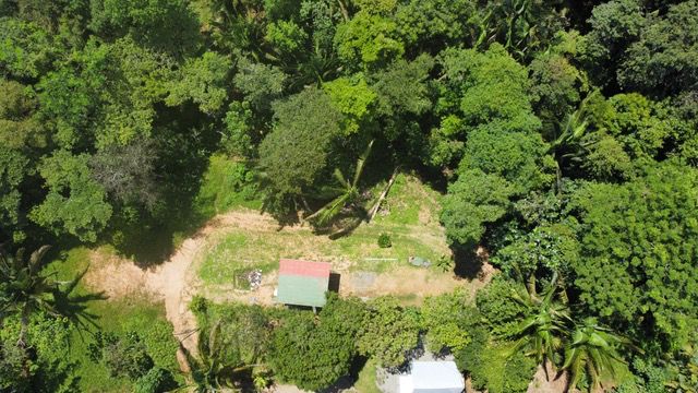 Fixer-Upper with Stream, Forest Views, and Investment Potential in Playa Hermosa selected