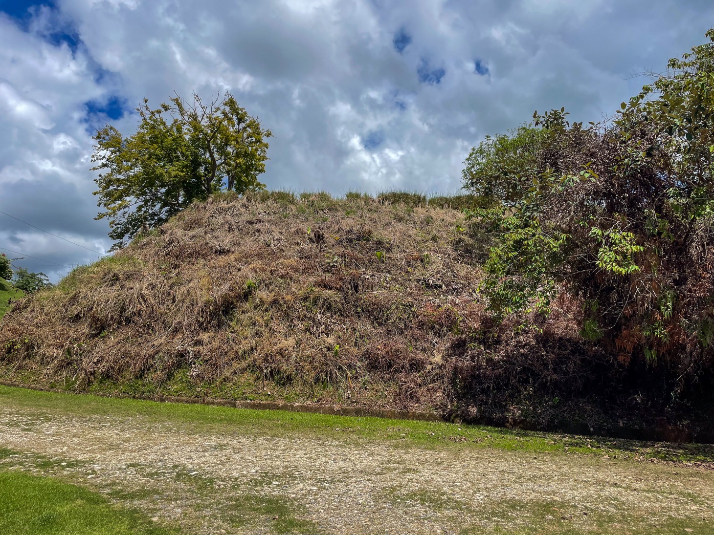 Stunning Lot for Sale in Southern Costa Rica – A Rare Opportunity! selected