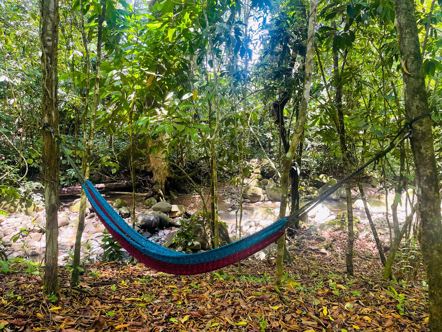 Two Modern Homes with Mountain View, Creek Access, and Multiple Building Sites in Tumbas, Tinamastes selected