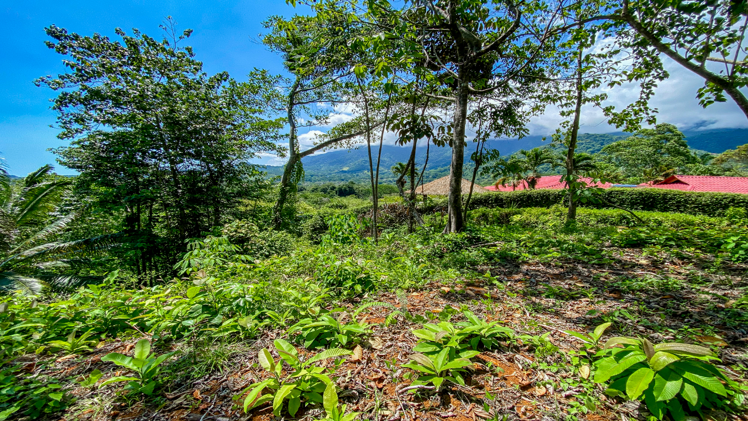5.75 Acre Land for Sale in Ojochal | Ocean View Development Property selected