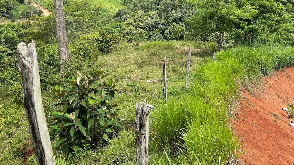 145 Acres With Swimming Holes, Waterfalls And Ocean Views selected