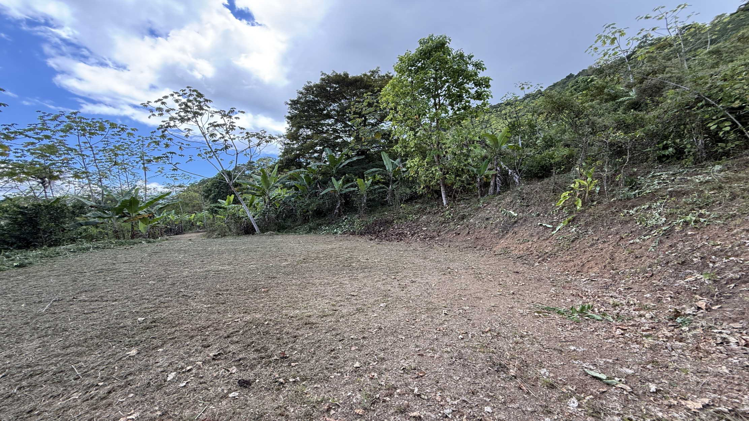 Jungle Lot with 3+ Building Sites, Legal Water, Electricity on Public Road with Big Valley & Mountain Views near San Josecito Costa Rica selected