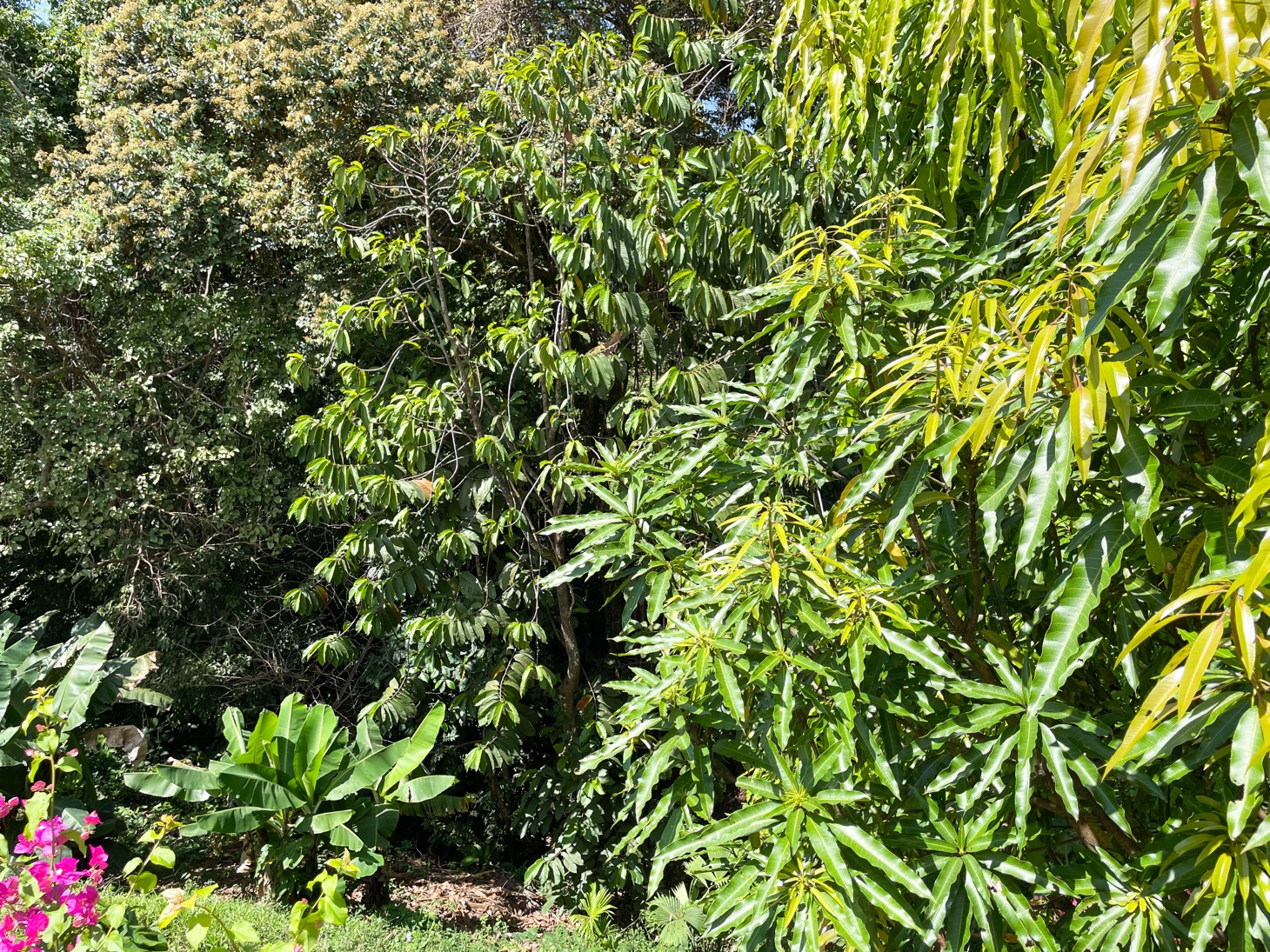 Spectacular Three-Bedroom Ocean View Retreat in Exclusive Chontales selected