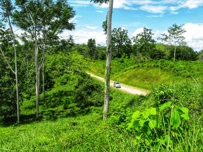 Exclusive Two-Lot Oasis in Gated Paradise – Build Your Dream Estate image 5