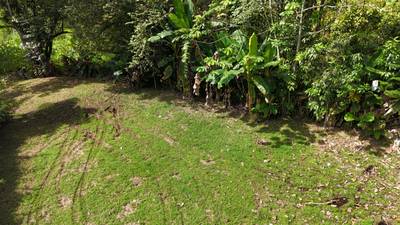 Build-Ready Ojochal Lot with Legal Water, Power & Private Setting image 5