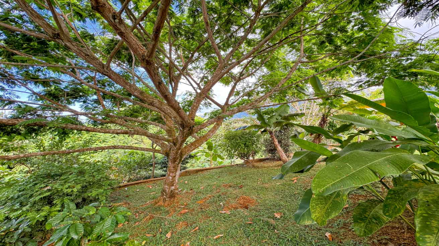 Ocean,Jungle & Mountain View Home in Ojochal | Protected Jungle Setting selected