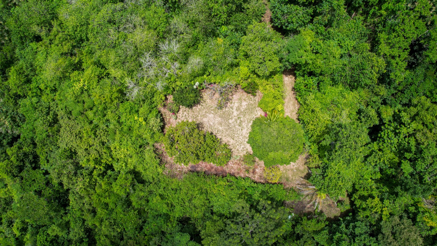 Stunning 16 acre Ocean View Property San Buenas, Costa Rica  selected