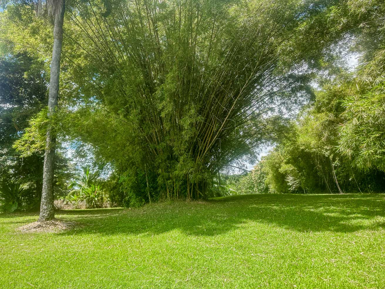 3.7-Acre Airport-Adjacent Property with Direct Runway Access, Prime Zoning, and Mountain Views selected