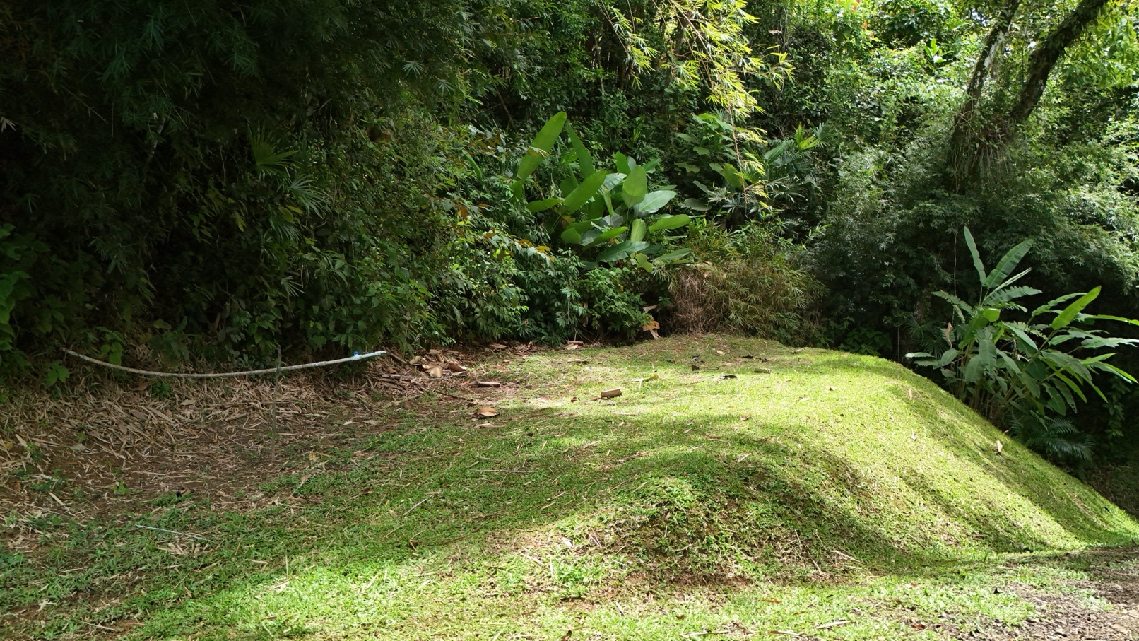 Expansive Oceanview Estate Lot in Uvita selected