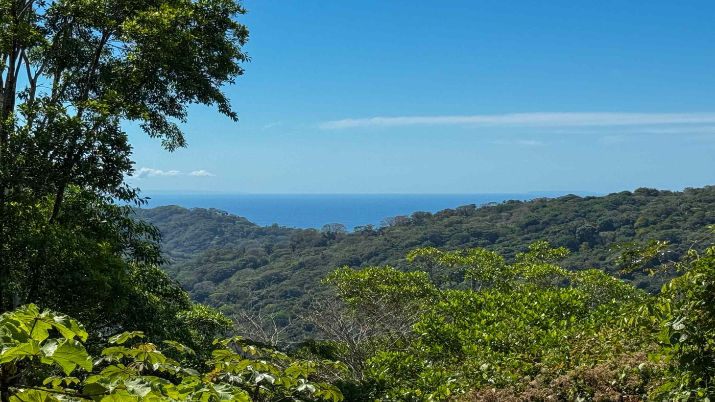 Totally Remodeled Coastal Jungle 2-Bedroom Sanctuary Home with Valley & Ocean Views in Lagunas above Dominical Costa Rica selected