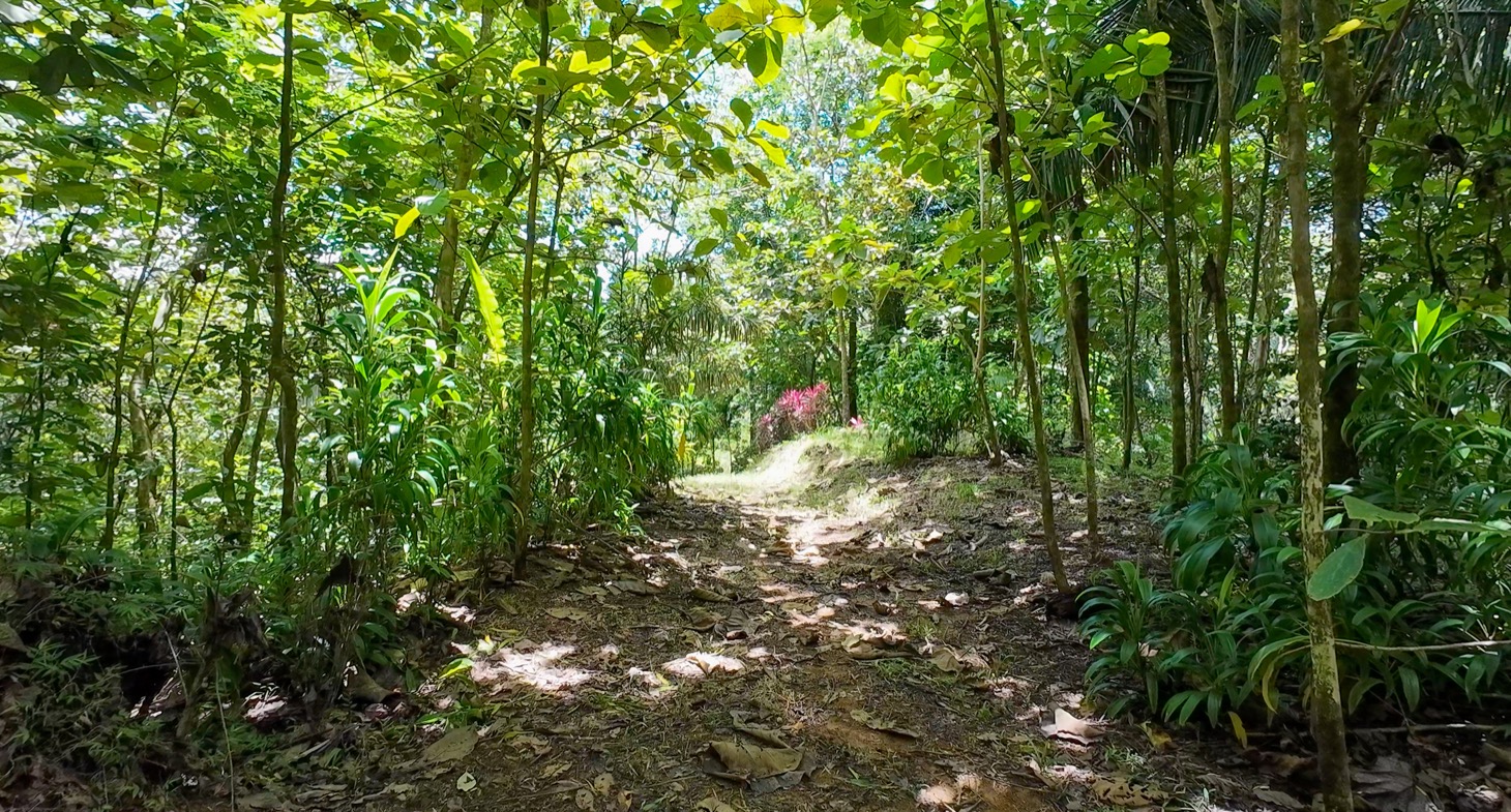 Stunning 16 acre Ocean View Property San Buenas, Costa Rica  selected