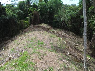 Private Jungle Sanctuary Land For Sale in Uvita, Costa Rica image 2
