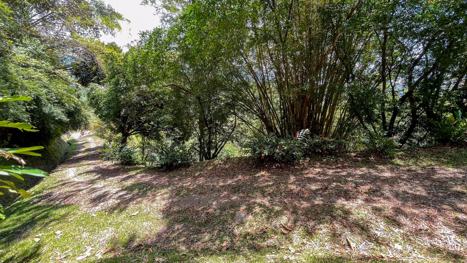 Ocean View Land for Sale in Uvita, Costa Rica | Whale Tail View | Private Gated Community | Ready to Build selected