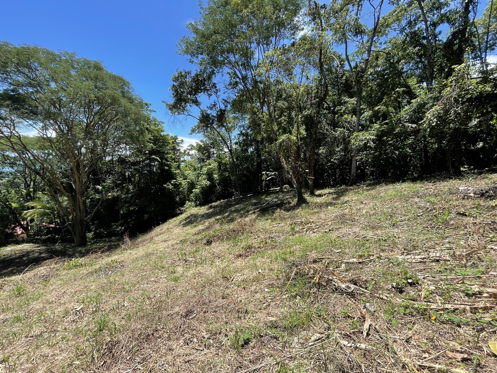 5.4 Acres With Ocean View & Multiple Building Sites selected