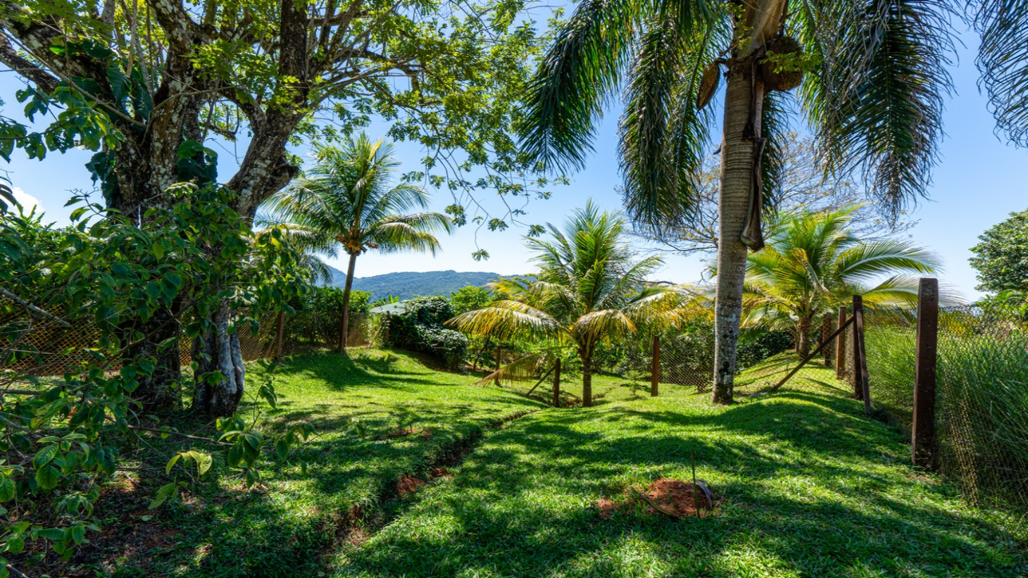 5.67 ACRES – 3 Bedroom Stunning Luxury Home Featuring Sweeping Valley & Ocean Views, Natural Wood Finishes & Sophisticated Design! selected