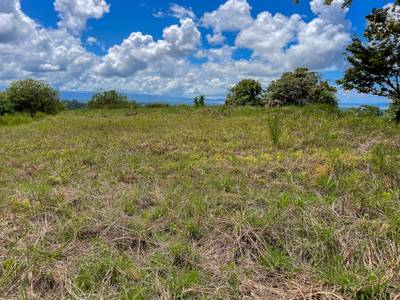 Stunning Lot for Sale in Southern Costa Rica – A Rare Opportunity! image 1