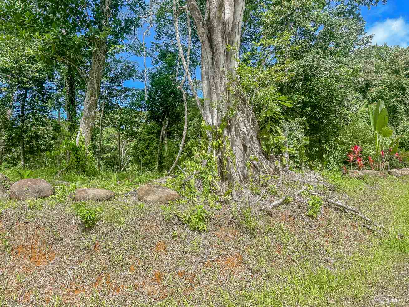 Wonderful Jungle Lot with a Crystal Mountain River Border in Ojochal selected