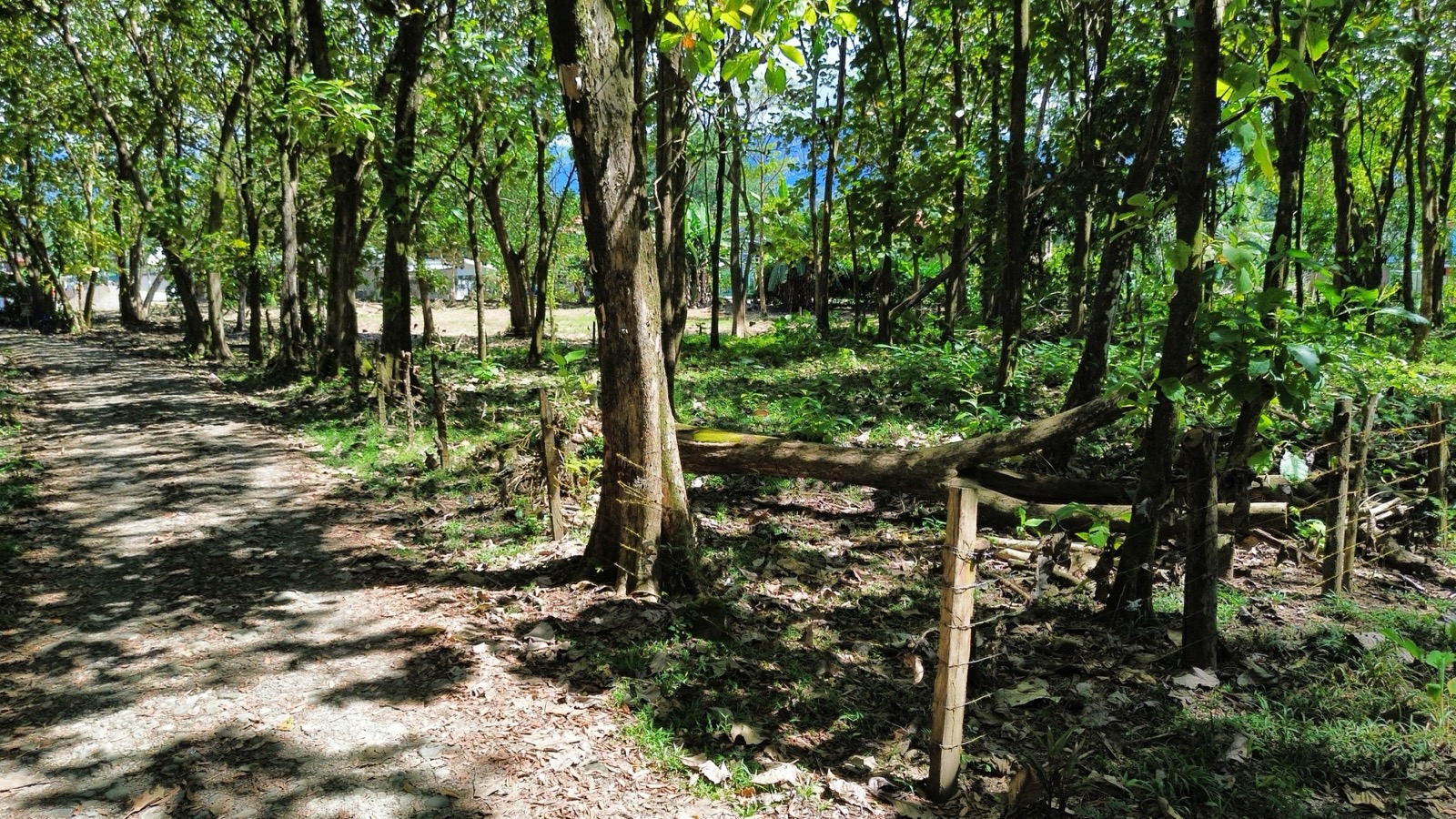 Prime 0.37-Acre Build-Ready Lot Steps from Marino Ballena National Park in Uvita selected