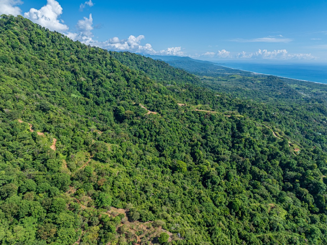 Visionary Ocean-View Estate with Development Potential Near Playa Linda selected