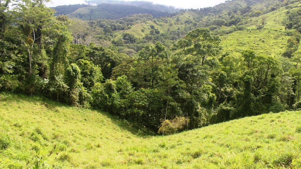 Beautiful 72 Acre Farm In Uvita With Waterfalls And Ocean Views selected